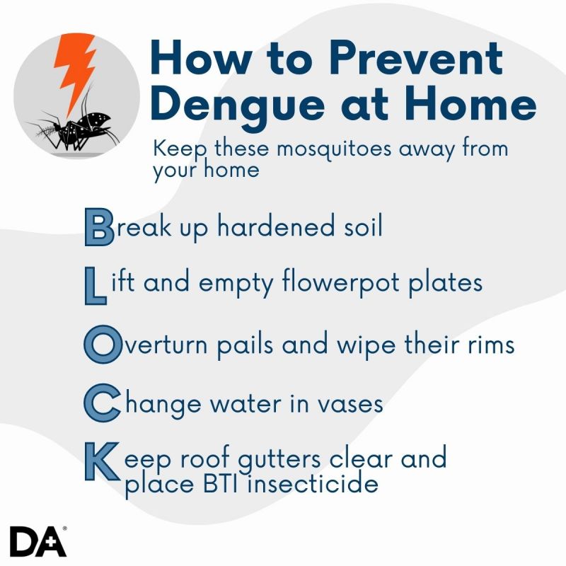 5 Common Myths around Dengue Debunked Blog Doctor Anywhere